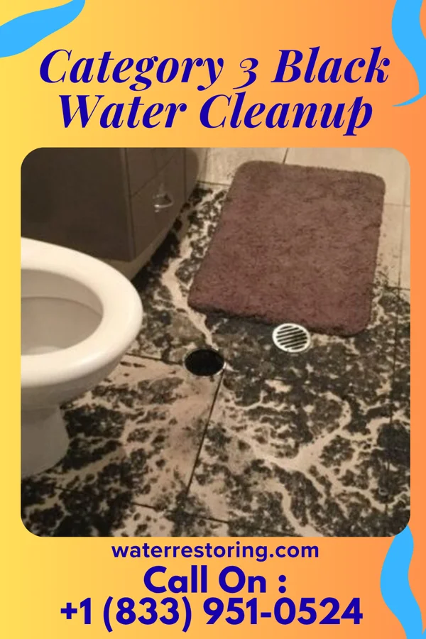 Category 3 Black Water Cleanup in Cuthbert, GA