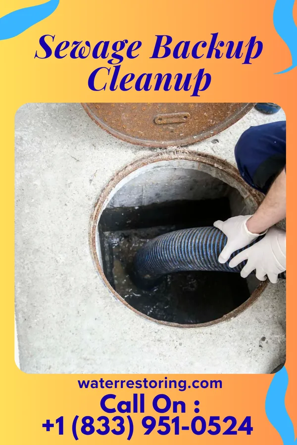 Sewage Backup Cleanup in Cuthbert, GA