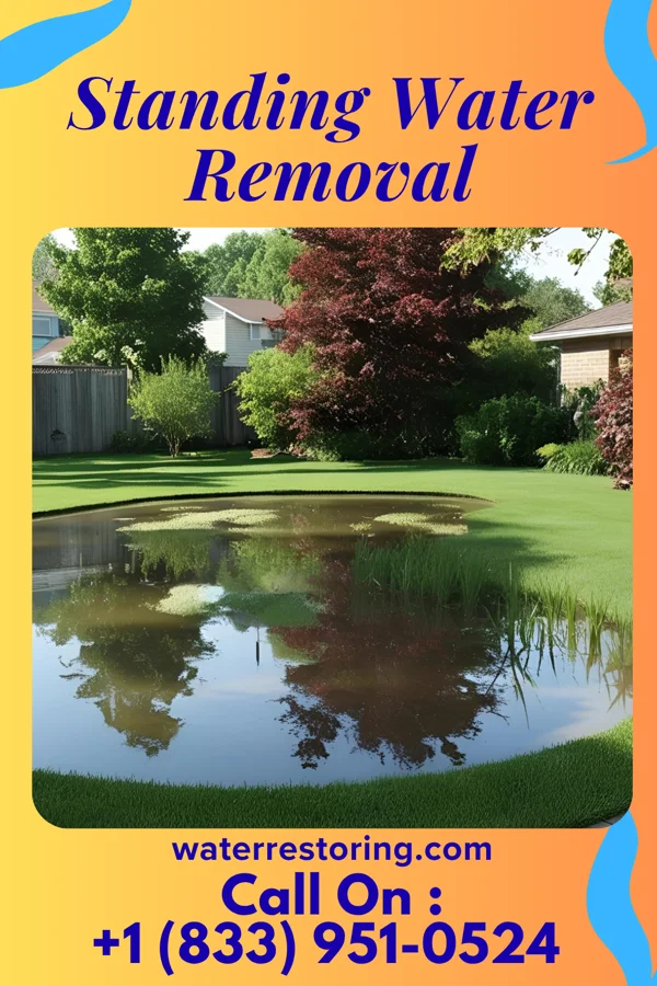 Standing Water Removal in Cuthbert, GA
